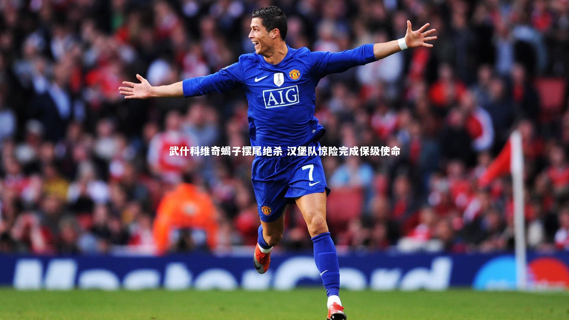 武什科维奇蝎子摆尾绝杀 汉堡队惊险完成保级使命